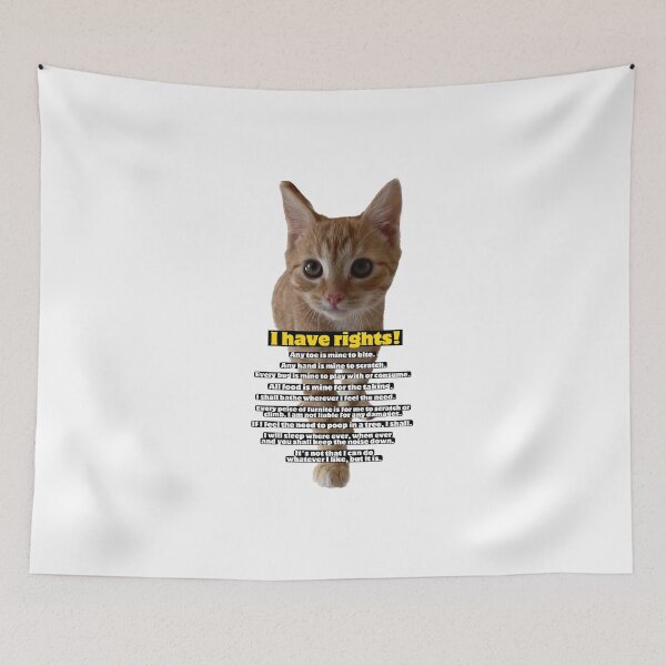 Item preview, Cat rights constitution  designed and sold by Kitty Shinanigans.