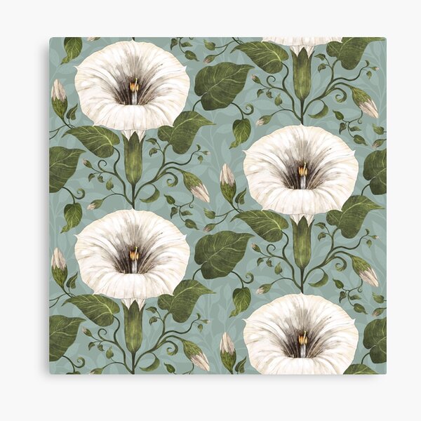 Aperçu de l'œuvre Dreamy Moonflower sur bleu-vert créée et vendue par Silver Steer Design.
