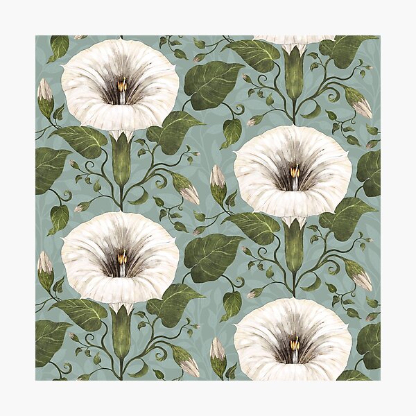 Aperçu de l'œuvre Dreamy Moonflower sur bleu-vert créée et vendue par Silver Steer Design.