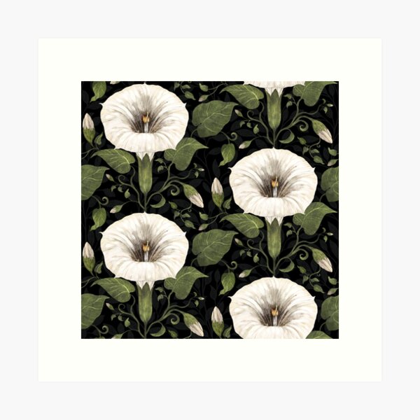 Aperçu de l'œuvre Dreamy Moonflower sur noir créée et vendue par Silver Steer Design.