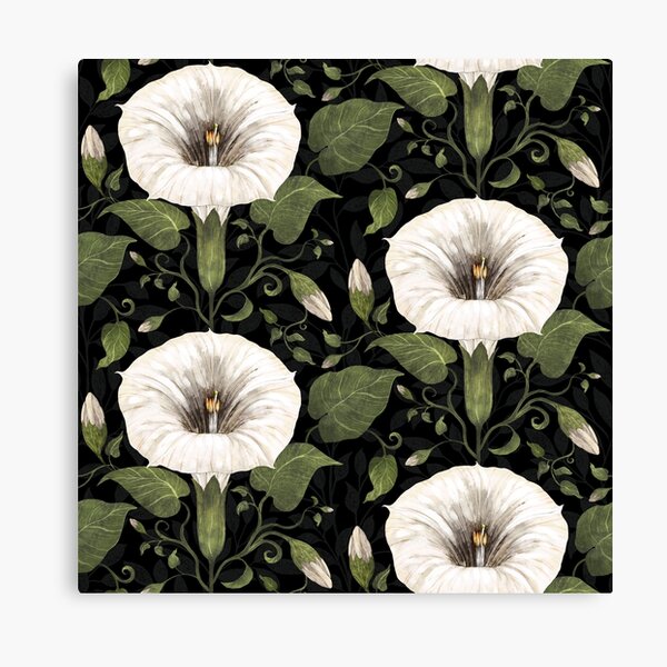 Aperçu de l'œuvre Dreamy Moonflower sur noir créée et vendue par Silver Steer Design.