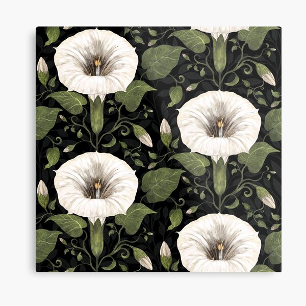 Aperçu de l'œuvre Dreamy Moonflower sur noir créée et vendue par Silver Steer Design.