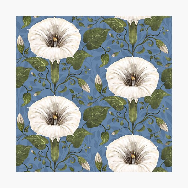 Aperçu de l'œuvre Dreamy Moonflower sur bleu créée et vendue par Silver Steer Design.