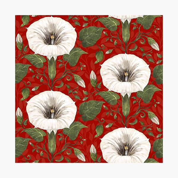 Aperçu de l'œuvre Dreamy Moonflower sur rouge créée et vendue par Silver Steer Design.