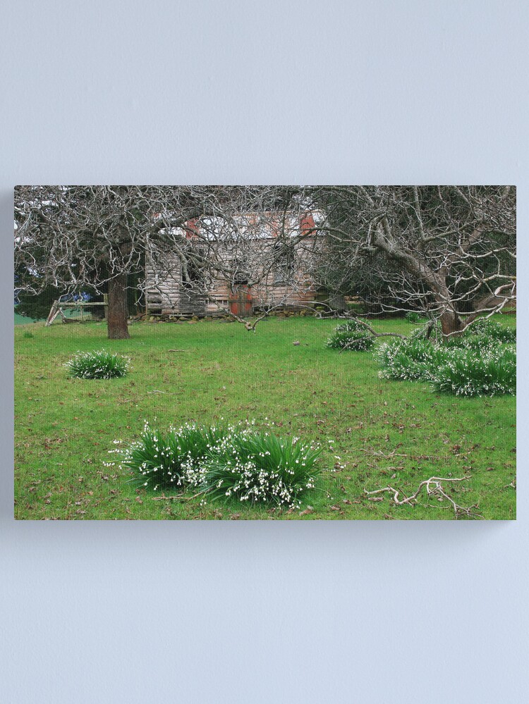Alternate view of Handyman's Dream Canvas Print