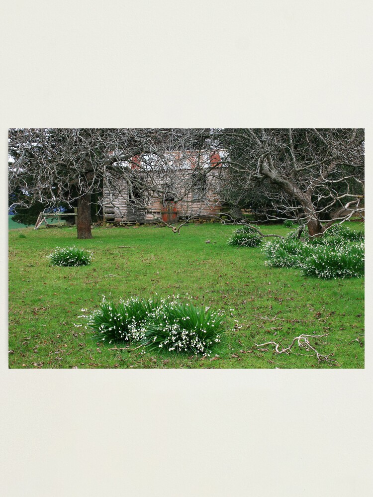Alternate view of Handyman's Dream Photographic Print