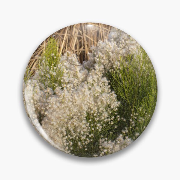 Item preview, Resilient Beauty: Desert Broom in the Arid Southwest Landscape designed and sold by HistoryDesigns.