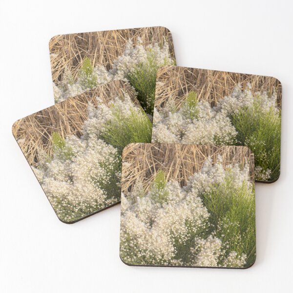 Item preview, Resilient Beauty: Desert Broom in the Arid Southwest Landscape designed and sold by HistoryDesigns.