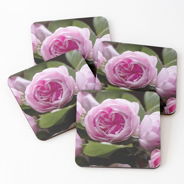 Item preview, 'David Austin Pink Roses' designed and sold by HannahGimblett.