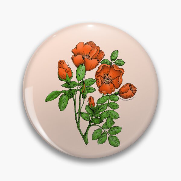 Item preview, Orange Cupped Rose Bloom Single 1-7 Petals Almost Flat designed and sold by Rachael Taylor.