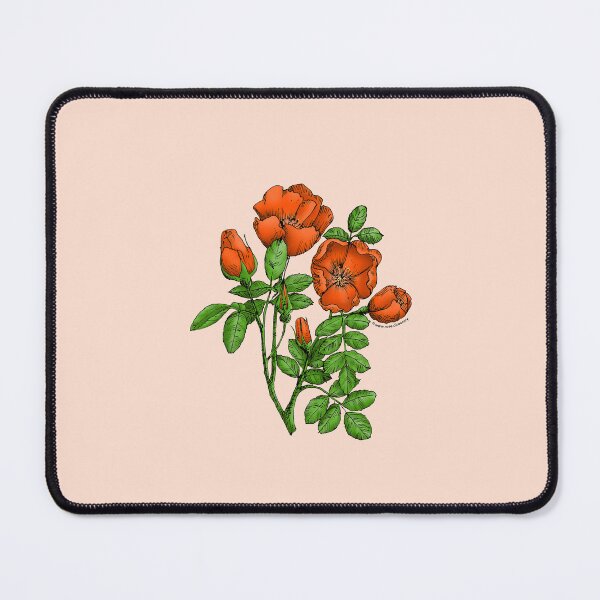 Item preview, Orange Cupped Rose Bloom Single 1-7 Petals Almost Flat designed and sold by Rachael Taylor.