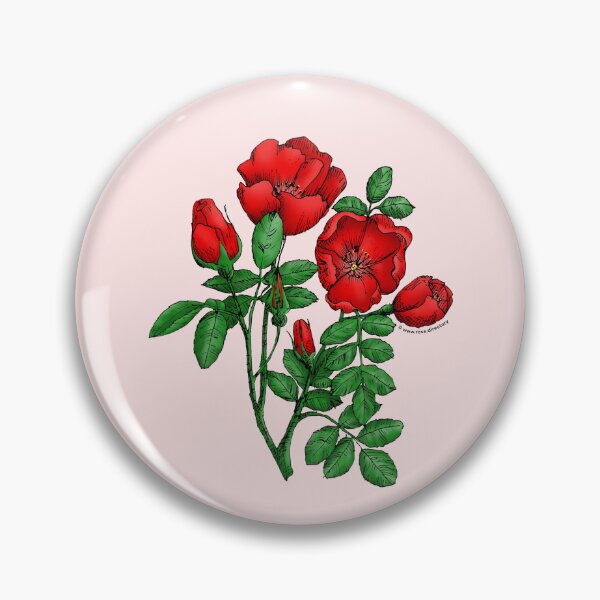 Item preview, Bright Red Cupped Rose Bloom Single 1-7 Petals Almost Flat designed and sold by Rachael Taylor.