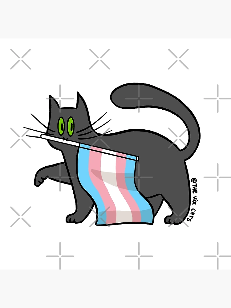 Transgender Icon - Polite Cat by FruiityPieQ on DeviantArt