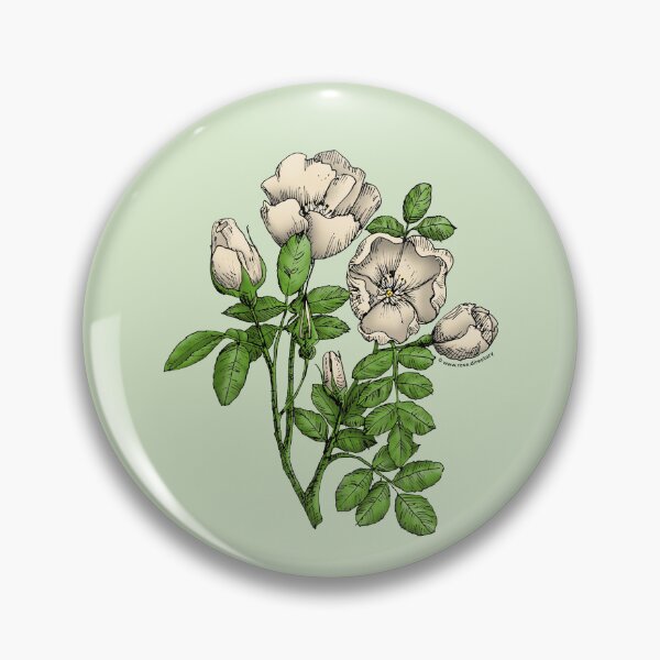 Item preview, Cream Cupped Rose Bloom Single 1-7 Petals Almost Flat designed and sold by Rachael Taylor.