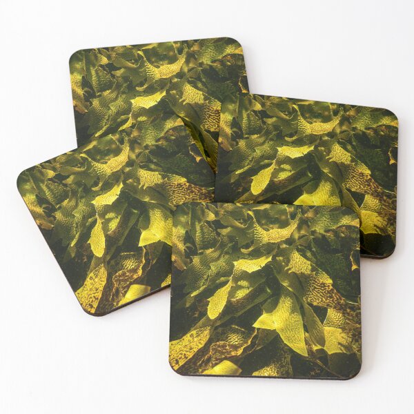 Item preview, Seaweed designed and sold by Geoff Wols.