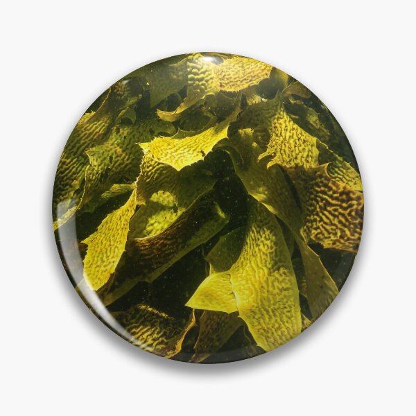Item preview, Seaweed designed and sold by Geoff Wols.