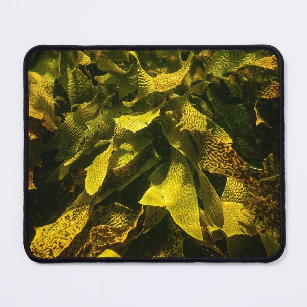 Item preview, Seaweed designed and sold by Geoff Wols.