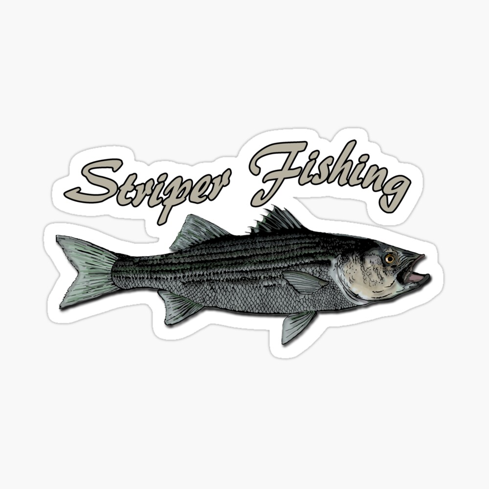 Tarjetas de felicitación for Sale con la obra «Pesca con Striper» de  hookink | Redbubble