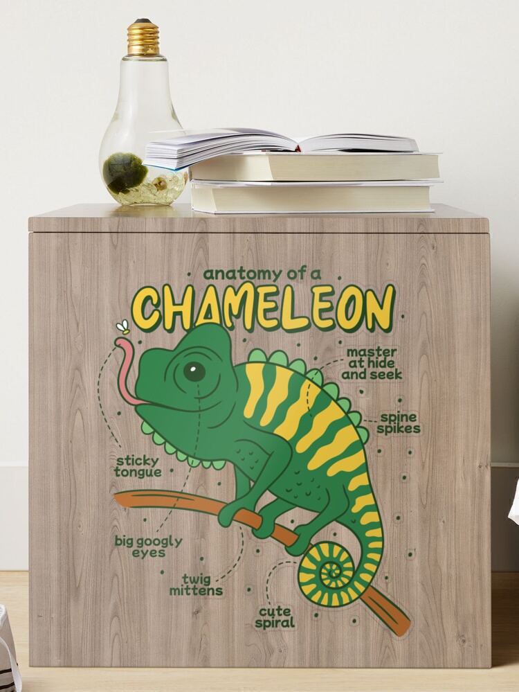 Big Water Bottle - Quirky Chameleon