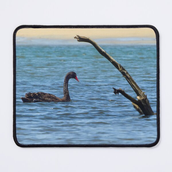 Item preview, Black Swan  designed and sold by BeingTherePix.