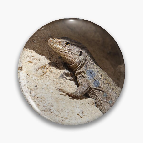 Item preview, Lizard Rock designed and sold by Nicole Gath.