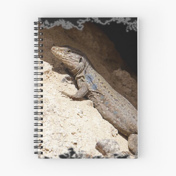 Item preview, Lizard Rock designed and sold by Nicole Gath.