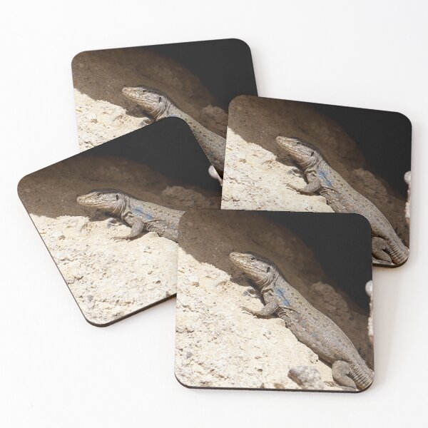 Item preview, Lizard Rock designed and sold by Nicole Gath.