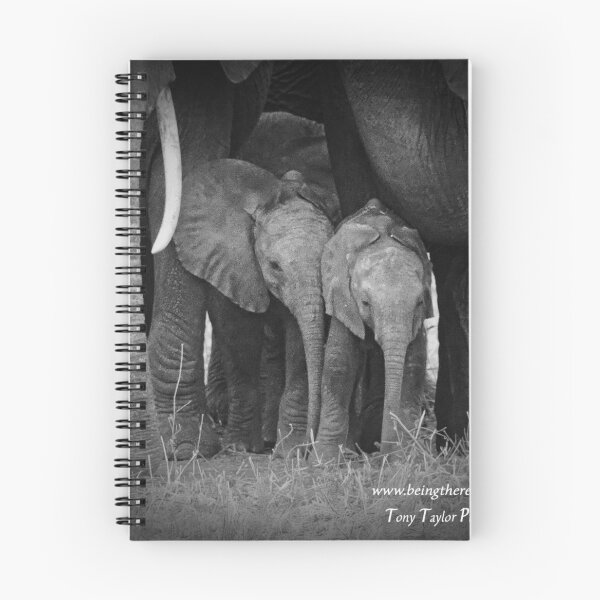 Item preview, Two Baby African Elephants designed and sold by BeingTherePix.