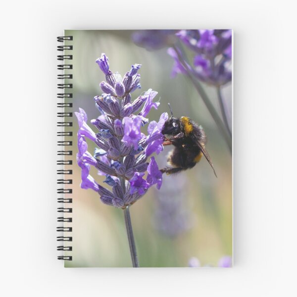 Item preview, Lila de verano designed and sold by Cosmic  Fox Photography.