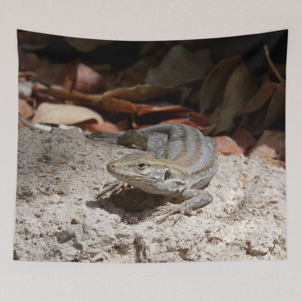 Item preview, Lizard designed and sold by Nicole Gath.
