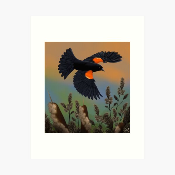 Aperçu de l'œuvre Oiseau noir à ailes rouges créée et vendue par SteveHerner.