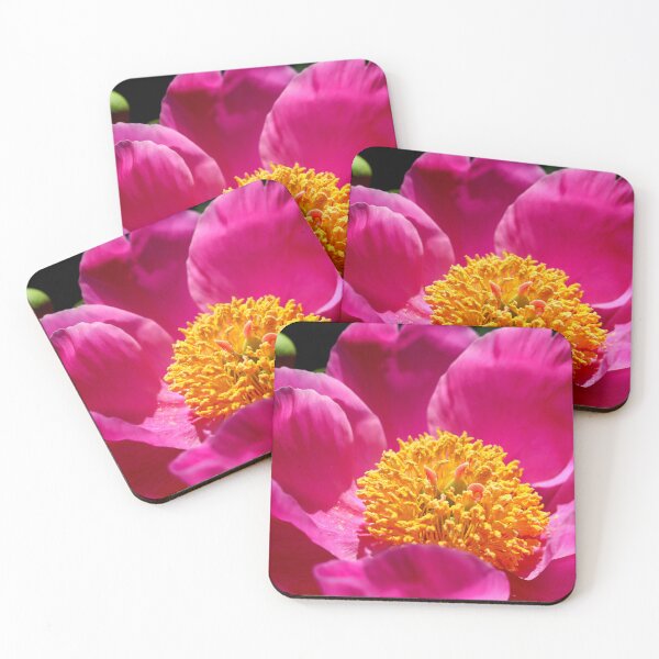 Item preview, Fuchsia Chinese Peony Closeup designed and sold by BostonArcImage.