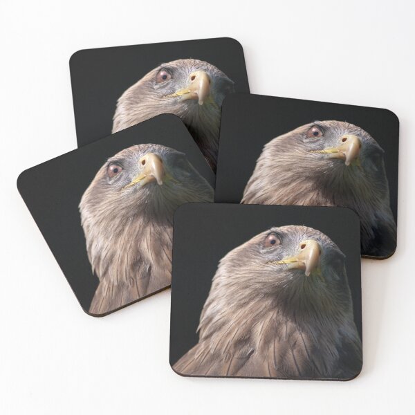 Item preview, African Tawny Eagle designed and sold by Krys Bailey.