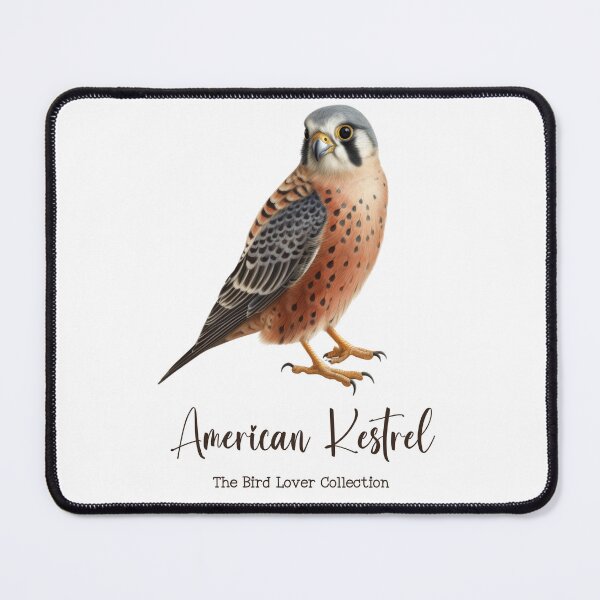 Item preview, American Kestrel - The Bird Lover Collection designed and sold by GoodOldVintage.