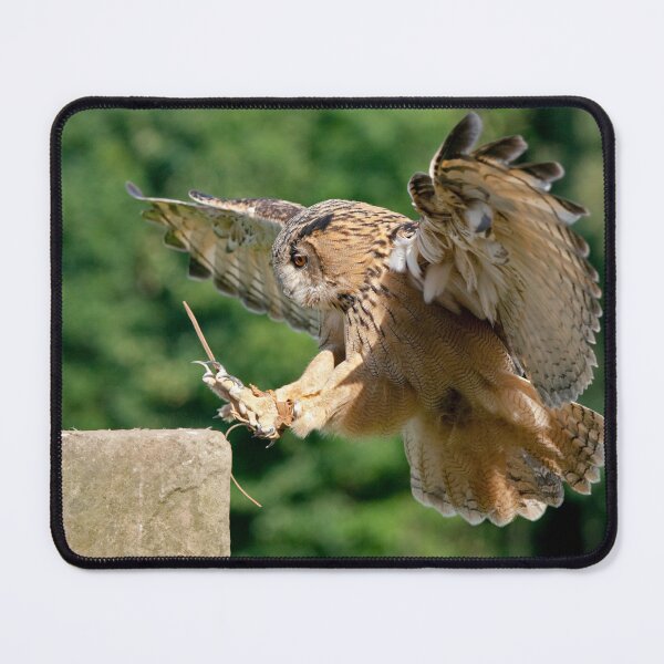 Item preview, European Eagle Owl designed and sold by Krys Bailey.