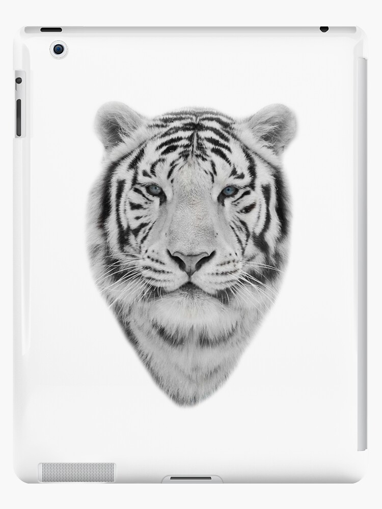 tigre blanco y negro tigre blanco y negro