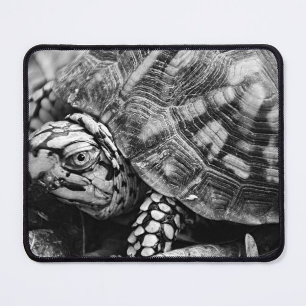 Item preview, Box Turtle Up Close Black And White designed and sold by LisaWootenPhoto.