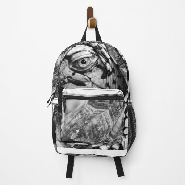 Item preview, Box Turtle Up Close Black And White designed and sold by LisaWootenPhoto.