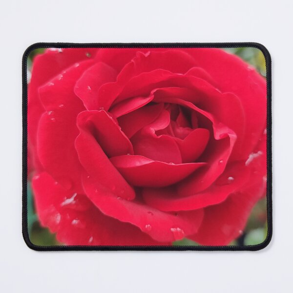 Item preview, Red Rose Garden Photo designed and sold by Pikmi.