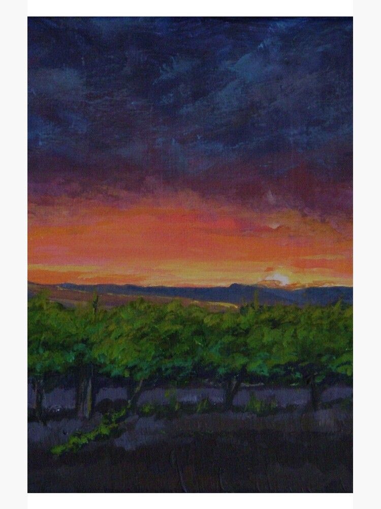 Vineyards at Sunset by Anthropolog