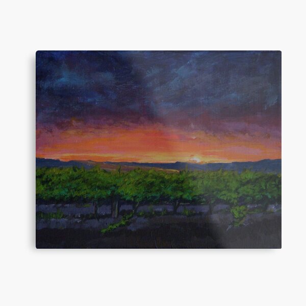 Vineyards at Sunset Metal Print