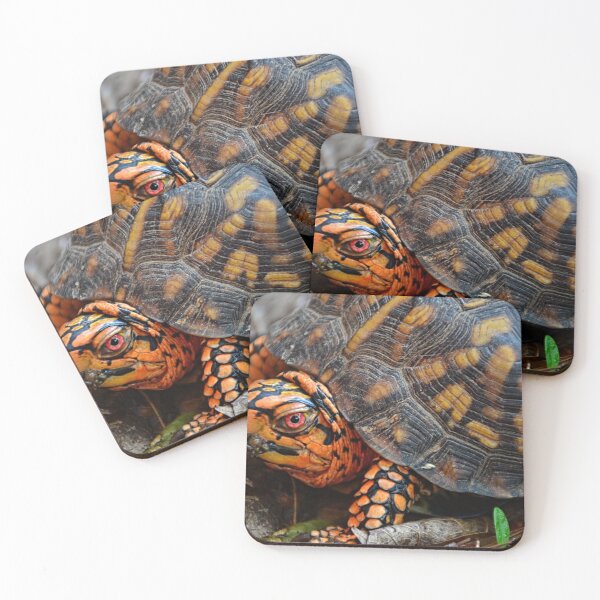 Item preview, Box Turtle Close Up designed and sold by LisaWootenPhoto.