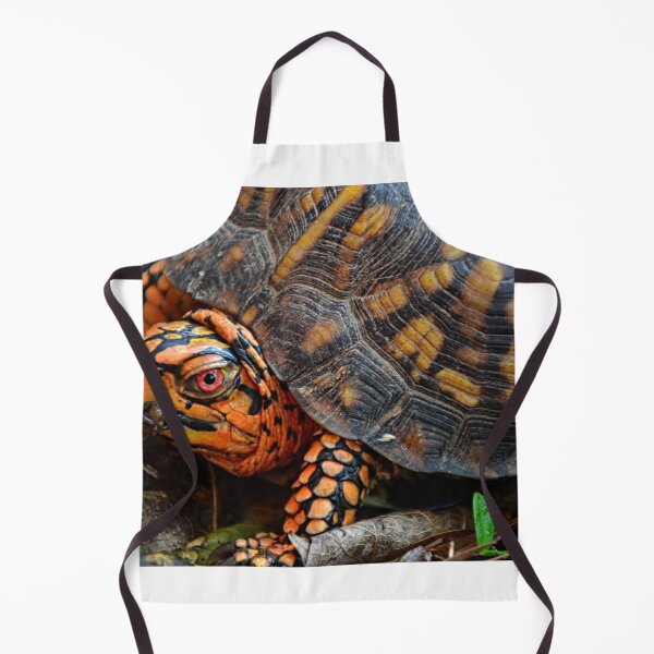 Item preview, Box Turtle Close Up designed and sold by LisaWootenPhoto.
