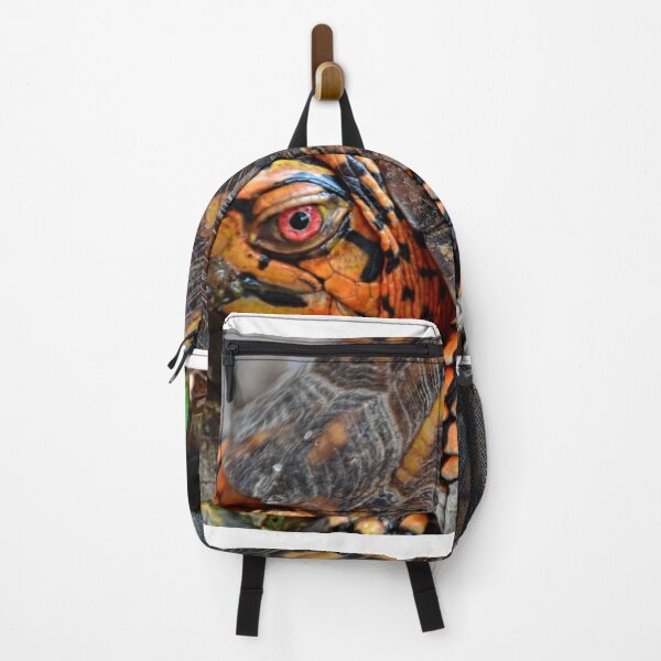 Item preview, Box Turtle Close Up designed and sold by LisaWootenPhoto.