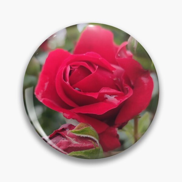 Item preview, Red Rose Unique Photo Design designed and sold by Pikmi.