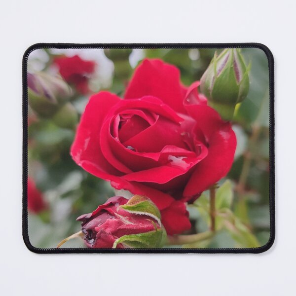 Item preview, Red Rose Unique Photo Design designed and sold by Pikmi.