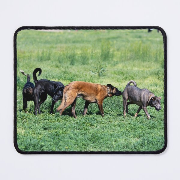 Item preview, Conga Line designed and sold by Greg Birkett.