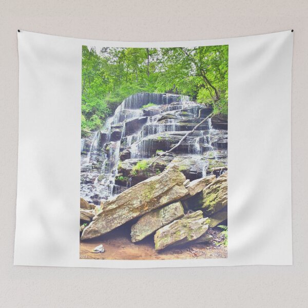 Item preview, Yellow Branch Falls Oconee County South Carolina Vertical designed and sold by LisaWootenPhoto.