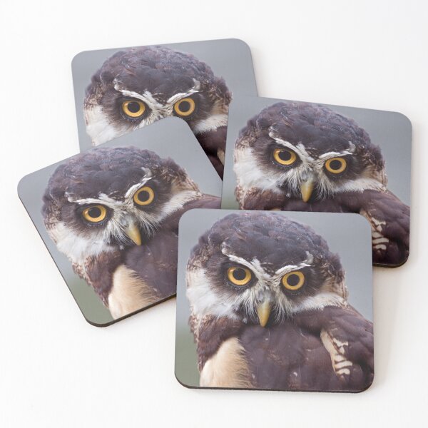 Item preview, Spectacled Owl designed and sold by Krys Bailey.