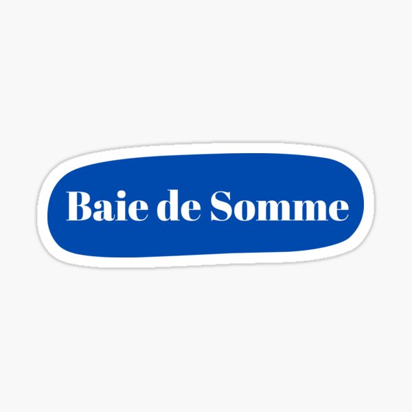 Vista previa del artículo con la obra «Baie de somme en Francia en azul y blanco», diseñado y vendido por PausePapote.